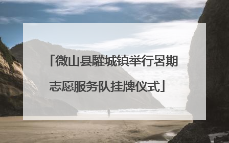 微山县驩城镇举行暑期志愿服务队挂牌仪式