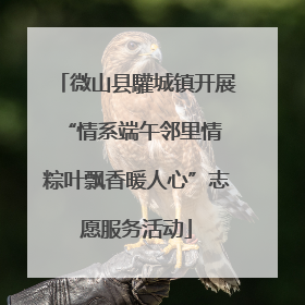 微山县驩城镇开展“情系端午邻里情 粽叶飘香暖人心”志愿服务活动