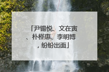 尹锡悦、文在寅、朴槿惠、李明博，纷纷出面
