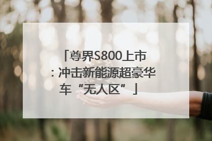 尊界S800上市：冲击新能源超豪华车“无人区”