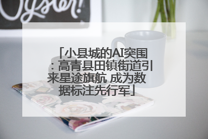 小县城的AI突围：高青县田镇街道引来星途旗航 成为数据标注先行军