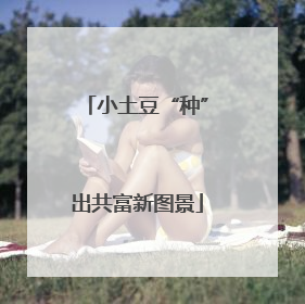小土豆“种”出共富新图景