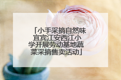 小手采摘自然味 宜宾江安西江小学开展劳动基地蔬菜采摘售卖活动