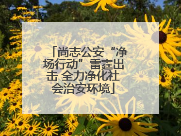 尚志公安“净场行动”雷霆出击 全力净化社会治安环境