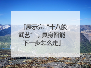 展示完“十八般武艺”，具身智能下一步怎么走
