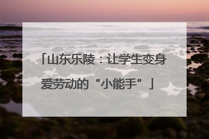 山东乐陵：让学生变身爱劳动的“小能手”