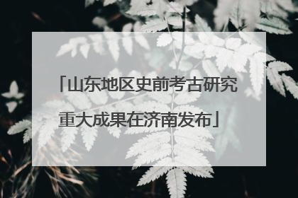 山东地区史前考古研究重大成果在济南发布
