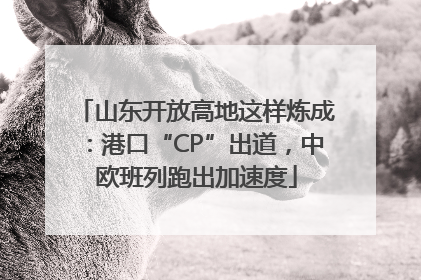 山东开放高地这样炼成：港口“CP”出道，中欧班列跑出加速度