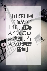 山东日照“面条鱼”上线，赶海大军凌晨点亮沙滩，有人收获满满一桶鱼
