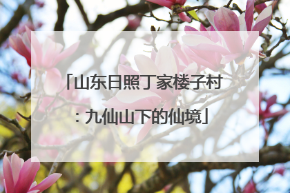 山东日照丁家楼子村：九仙山下的仙境