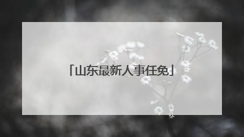 山东最新人事任免