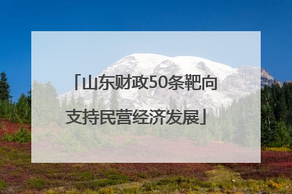 山东财政50条靶向支持民营经济发展