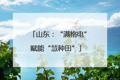 山东：“满格电”赋能“慧种田”