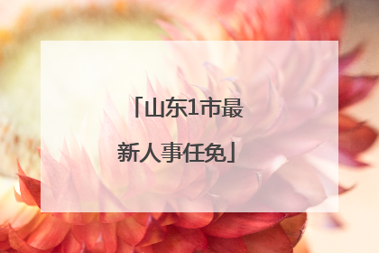 山东1市最新人事任免