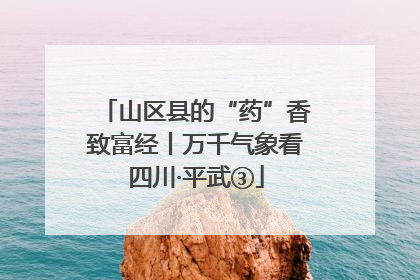 山区县的“药”香致富经丨万千气象看四川·平武③