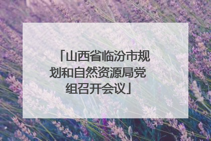 山西省临汾市规划和自然资源局党组召开会议