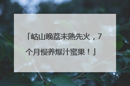 岵山晚荔未熟先火，7个月慢养爆汁蜜果！