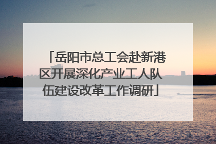岳阳市总工会赴新港区开展深化产业工人队伍建设改革工作调研