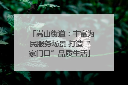 嵩山街道：丰富为民服务场景 打造“家门口”品质生活