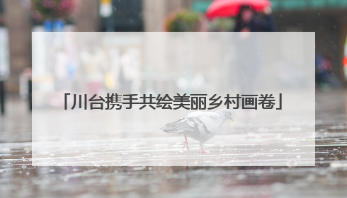 川台携手共绘美丽乡村画卷