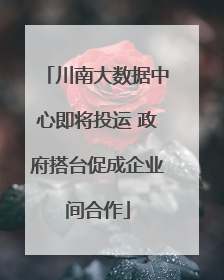 川南大数据中心即将投运 政府搭台促成企业间合作