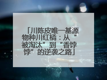 川陈皮唯一基源物种川红橘：从“被淘汰”到“香饽饽”的逆袭之路