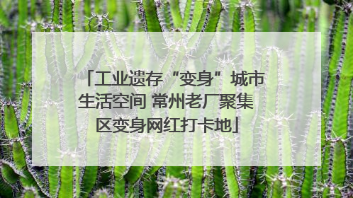 工业遗存“变身”城市生活空间 常州老厂聚集区变身网红打卡地