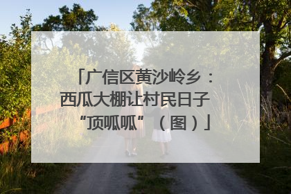 广信区黄沙岭乡：西瓜大棚让村民日子“顶呱呱”（图）
