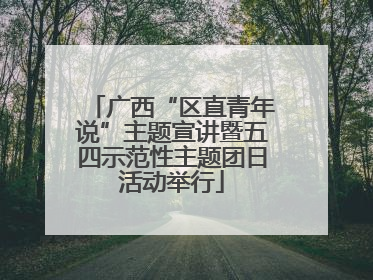 广西“区直青年说”主题宣讲暨五四示范性主题团日活动举行