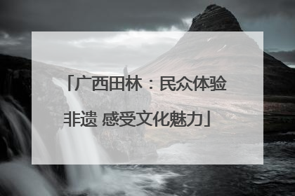 广西田林：民众体验非遗 感受文化魅力