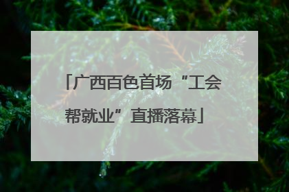 广西百色首场“工会帮就业”直播落幕