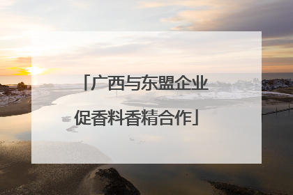 广西与东盟企业促香料香精合作