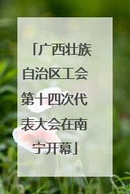 广西壮族自治区工会第十四次代表大会在南宁开幕