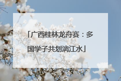 广西桂林龙舟赛：多国学子共划漓江水