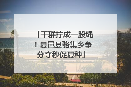 干群拧成一股绳！夏邑县骆集乡争分夺秒促夏种