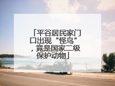 平谷居民家门口出现“怪鸟”，竟是国家二级保护动物