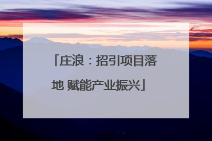 庄浪：招引项目落地 赋能产业振兴