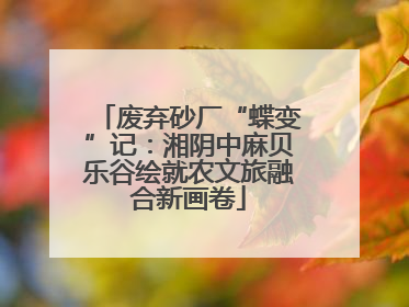 废弃砂厂“蝶变”记：湘阴中麻贝乐谷绘就农文旅融合新画卷