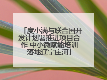 度小满与联合国开发计划署推进项目合作 中小微赋能培训落地辽宁庄河