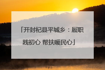 开封杞县平城乡：履职践初心 帮扶暖民心