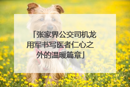 张家界公交司机龙用军书写医者仁心之外的温暖篇章