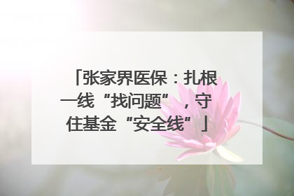张家界医保：扎根一线“找问题”，守住基金“安全线”