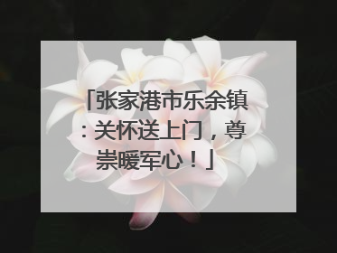 张家港市乐余镇：关怀送上门，尊崇暖军心！