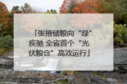 张掖储粮向“绿”疾驰 全省首个“光伏粮仓”高效运行