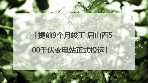 提前9个月竣工 眉山西500千伏变电站正式投运