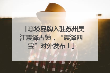 意境品牌入驻苏州吴江震泽古镇，“震泽四宝”对外发布！