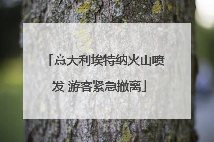 意大利埃特纳火山喷发 游客紧急撤离