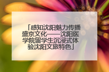 感知沈阳魅力传播盛京文化——沈阳医学院留学生沉浸式体验沈阳文旅特色