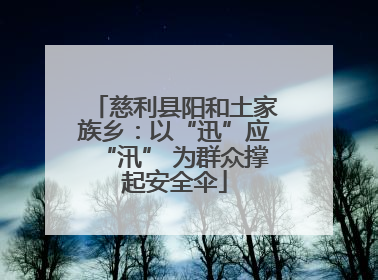慈利县阳和土家族乡：以“迅”应“汛” 为群众撑起安全伞