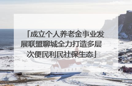 成立个人养老金事业发展联盟聊城全力打造多层次便民利民社保生态
